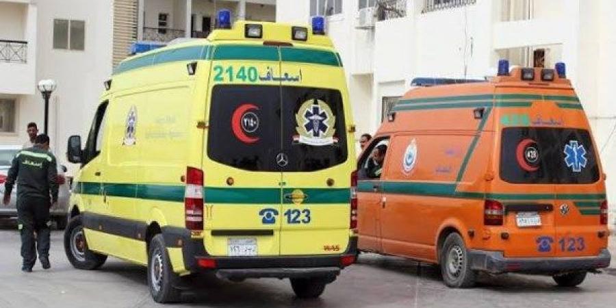 سيارة ربع نقل تدهس شابا أثناء عبوره الطريق بالطالبية - هرم مصر