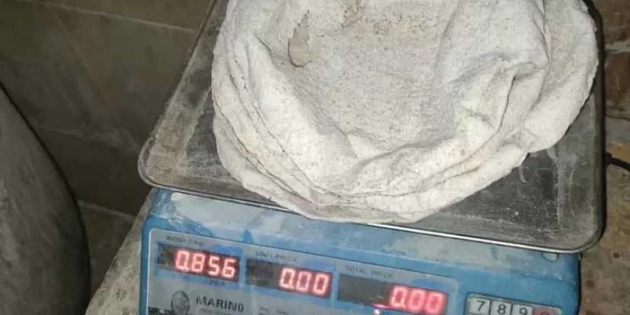 تحرير 88 محضرًا ضد المخابز البلدية المخالفة في كفر الشيخ - هرم مصر