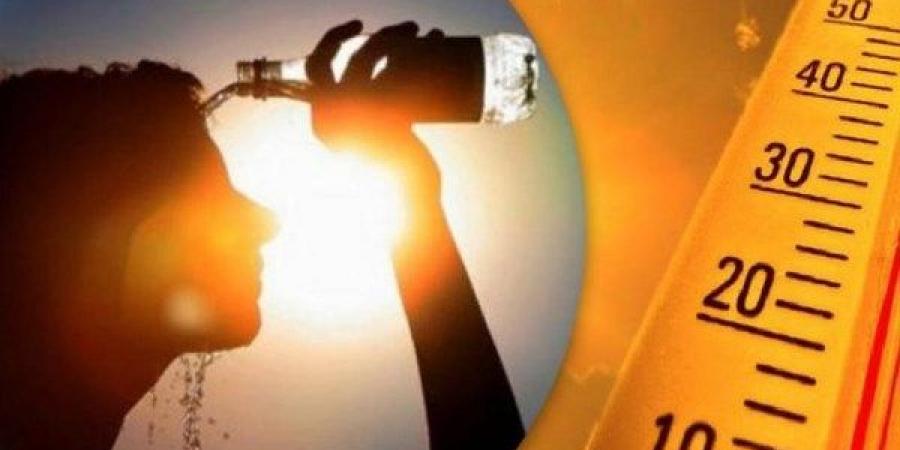 توخوا الحذر بالطرق.. الأرصاد تتوقع طقس شديد الحرارة وشبورة يوم عرفة وعيد الأضحى - هرم مصر