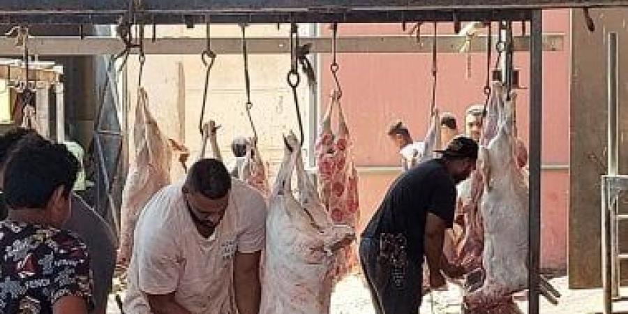 بعد منع ذبح الأضاحى.. مهن موسمية تغيب عن المغرب فى عيد الأضحى - هرم مصر
