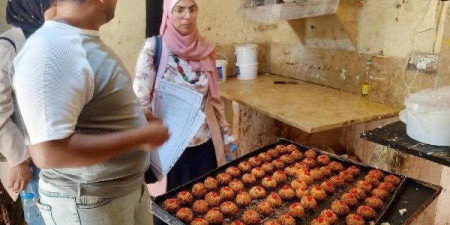 عيد الأضحى بالإسماعيلية.. تكثيف الحملات الرقابية على المنشآت الغذائية - هرم مصر
