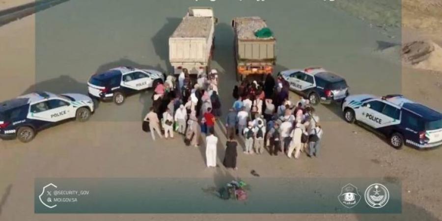 ضبط مواطنين لنقلهما (99) وافدًا خالفوا أنظمة وتعليمات الحج - هرم مصر