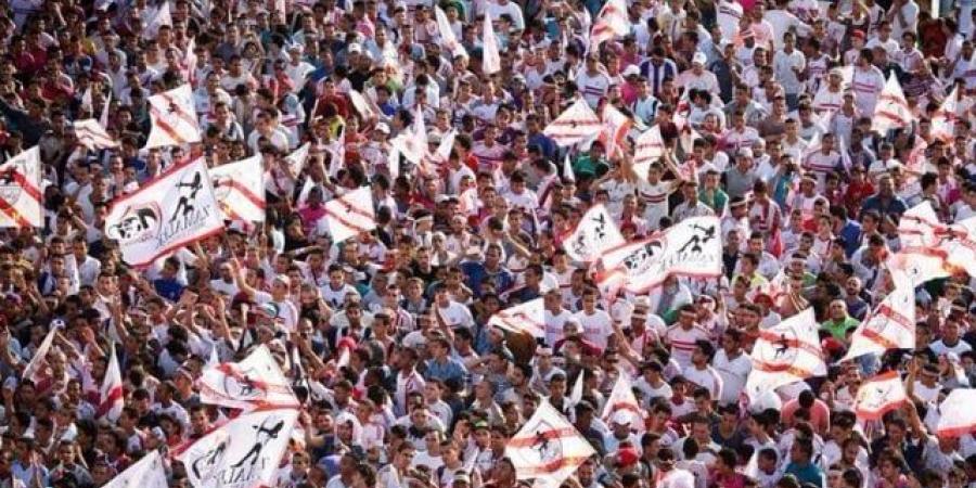 عمر جابر: جمهور الزمالك يستحق لقب كأس مصر - هرم مصر