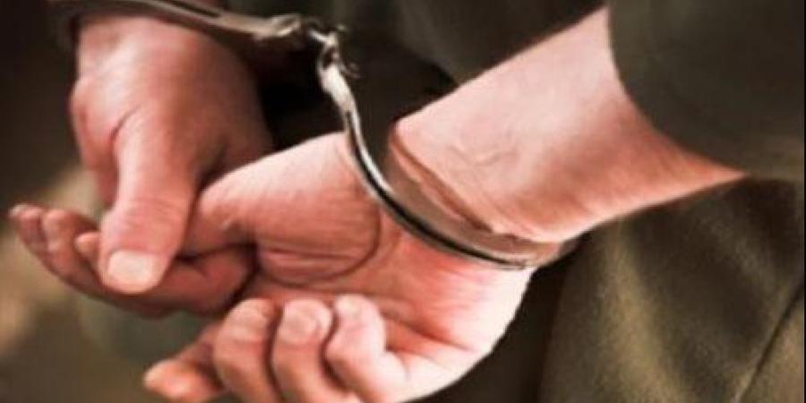 حبس المتهمين بنشر فيديو كاذب للضحك - هرم مصر