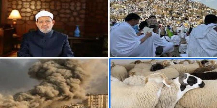 توك شو| الإمام الأكبر يهنئ الرئيس السيسي وقادة العالم الإسلامي بعيد الأضحى.. وعدد الحجاج يبلغ 1.7 مليون من 171 جنسية - هرم مصر