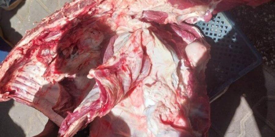 ضبط لحوم مذبوحة خارج المجازر وتحرير 317 محضرًا تموينيًا بأسيوط - هرم مصر