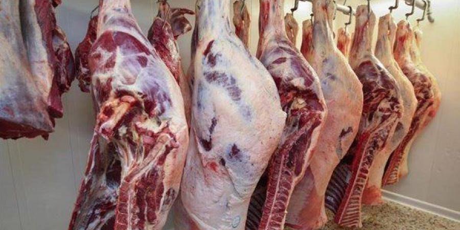 استقرار أسعار اللحوم البلدية والمستوردة في الأسواق اليوم السبت 7 يونيو 2025 - هرم مصر