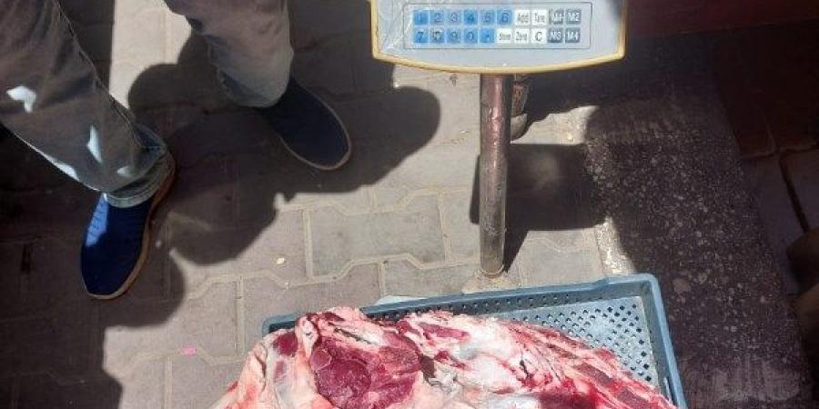 محافظ أسيوط يعلن ضبط لحوم مذبـ..وحة خارج المجـ.ازر الحكومية - هرم مصر