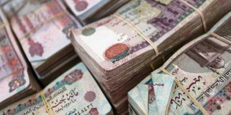 موعد زيادة المرتبات 2025 لموظفي الحكومة والمعاشات.. اعرف الزيادة الجديدة وتاريخ الصرف - هرم مصر