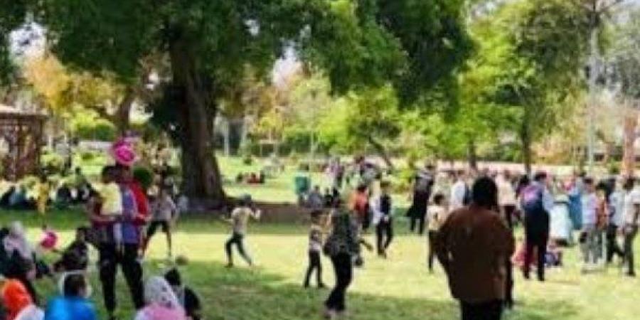 "الزراعة" تكشف تفاصيل استعدادات الحدائق والمتنزهات لاستقبال ثاني أيام عيد الأضحى - هرم مصر