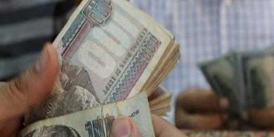 تكافل وكرامة.. كيف يتم تحديد الدعم النقدي الشهري طبقا للقانون؟ - هرم مصر