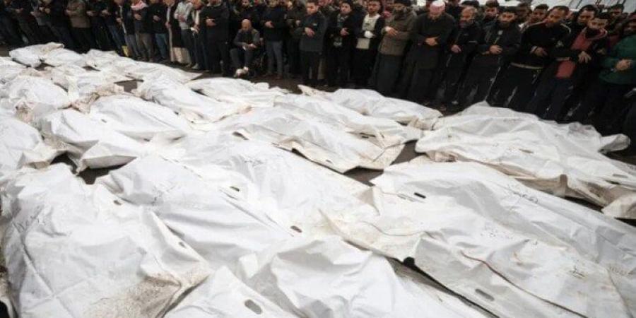 ضحايا الجوع يتساقطون.. 115 شهيدا و580 مصابا برصاص الاحتلال بسبب الغذاء في غزة - هرم مصر