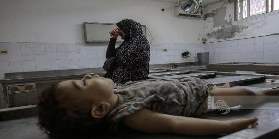 استشهاد 115 وإصابة 580 فلسطينيا خلال محاولتهم الحصول على الغذاء في غزة - هرم مصر