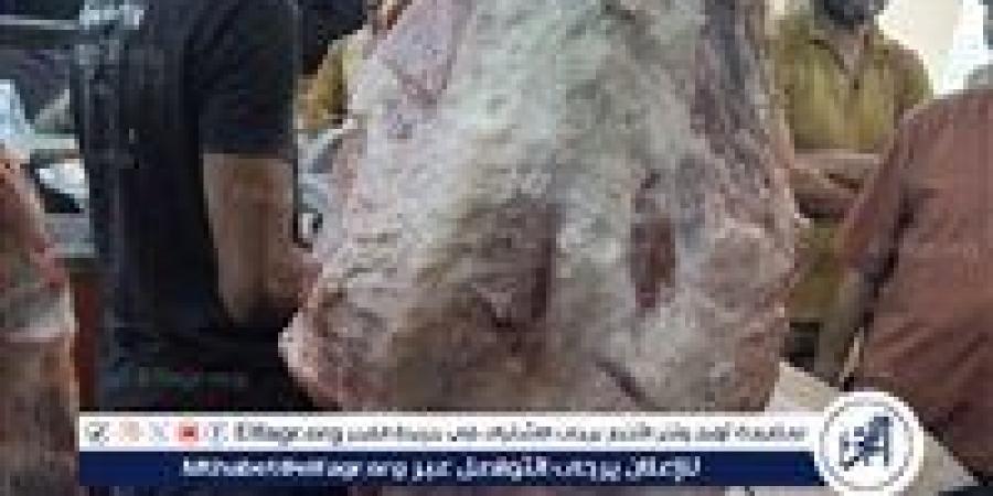 تحرير 17 محضر ذبح خارج السلخانة فى الغربية - هرم مصر