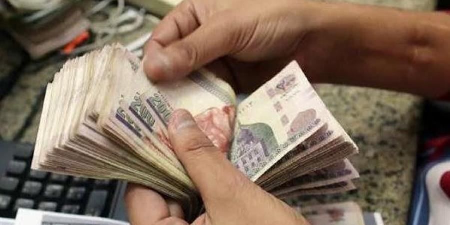 القاهرة للدراسات الاقتصادية: الموازنة تراعي البعد الاجتماعى برفع الأجور والمرتبات - هرم مصر