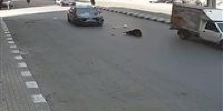 سيارة متهورة تدهس أسرة على دائري المنيب.. والنيابة تفتح تحقيق - هرم مصر