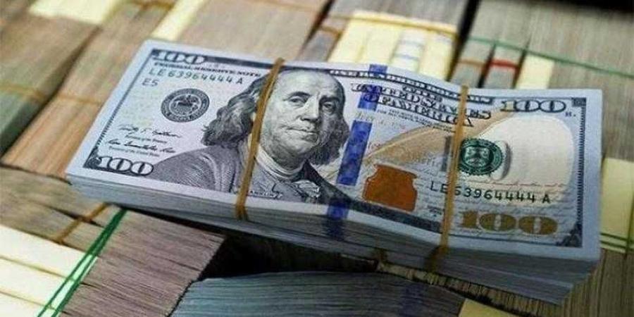 أسعار الدولار في مصر اليوم الأحد - هرم مصر