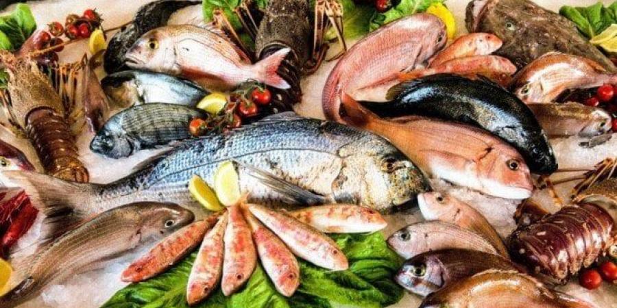 أسعار الأسماك اليوم الأحد 8 يونيو ثالث أيام عيد الأضحى - هرم مصر