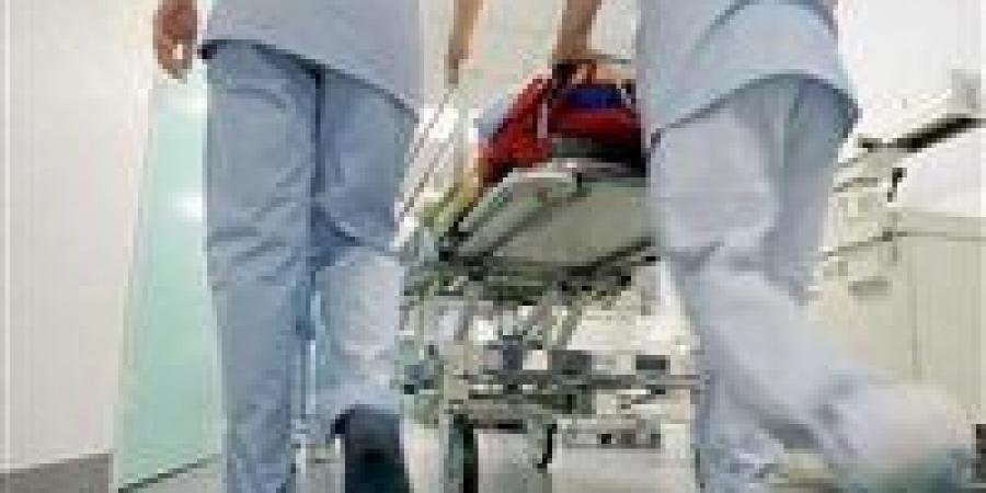 إصابة 4 أشخاص بحالة تسمم بالفيوم إثر تناولهم وجبة فاسدة من اللحم والبامية - هرم مصر