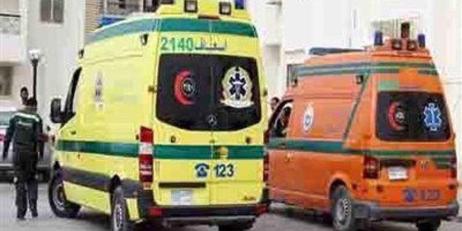 إصابة 20 شخصا بالتسمم تناولوا وجبة غذائية بالدقهلية - هرم مصر