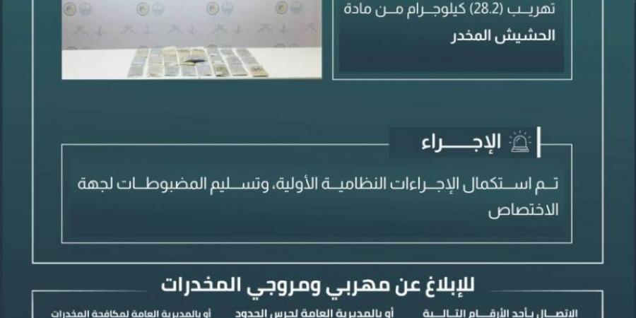 حرس الحدود بنجران يحبط تهريب 28.2 كيلوجرامًا من الحشيش المخدر - هرم مصر