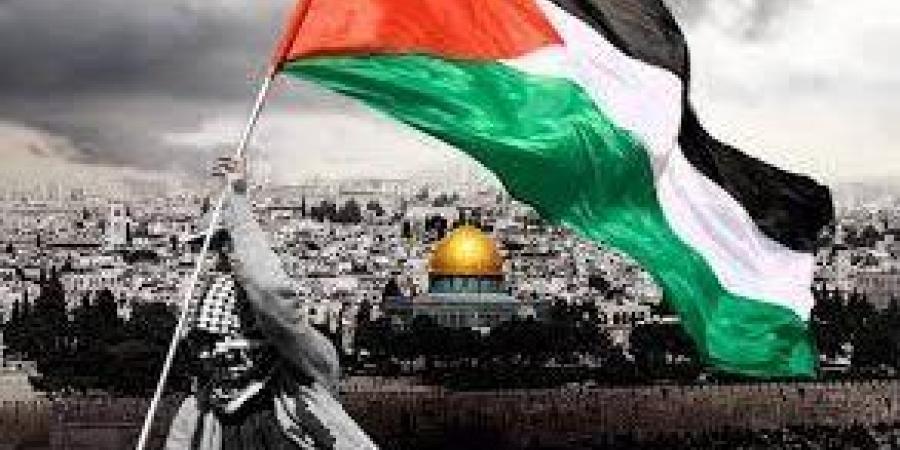 الصحة الفلسطينية: مستشفيات غزة تواجه خطر التوقف خلال يومين بسبب نفاد الوقود - هرم مصر