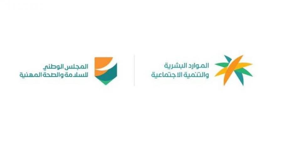 الموارد البشرية تعلن بدء تطبيق قرار حظر العمل تحت أشعة الشمس اعتبارًا من 15 يونيو - هرم مصر