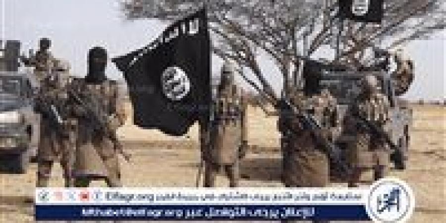 تأجيل محاكمة 87 متهمًا في "ولاية داعش سيناء 3" إلى 9 أغسطس - هرم مصر