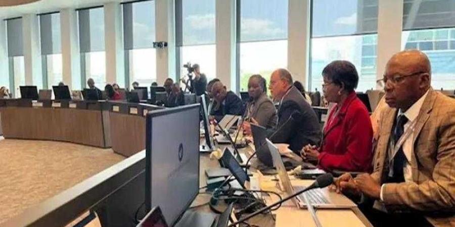 رئيس هيئة الدواء يُشارك في الاجتماع المشترك لمجلسي إدارة وكالة الأدوية الإفريقية والأوروبية - هرم مصر
