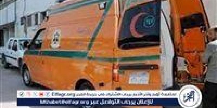 خلافات أسرية.. آب قتل 3 من أبنائه ويتخلص من حياتة شنقًا بمركز دار السلام بسوهاج - هرم مصر
