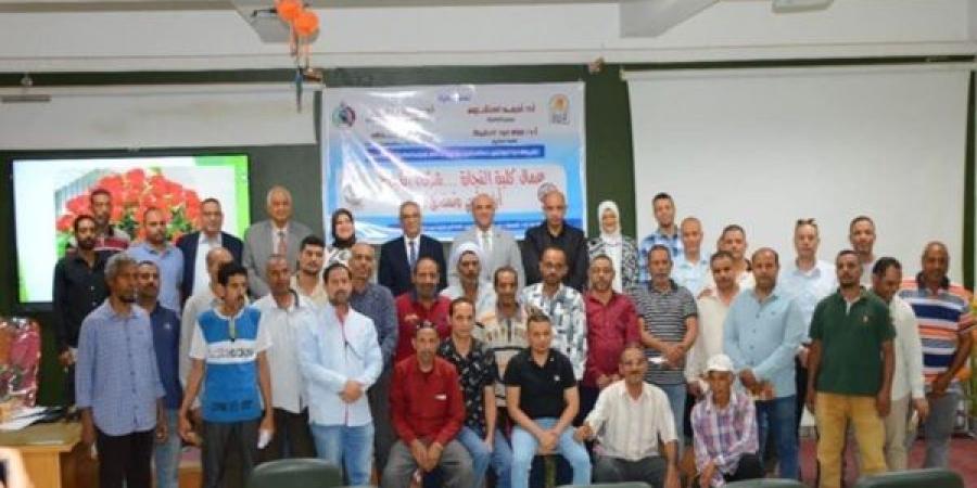 تكريم عمال كلية التجارة بأسيوط في مبادرة "بلدنا أمانة فى ايدينا" - هرم مصر