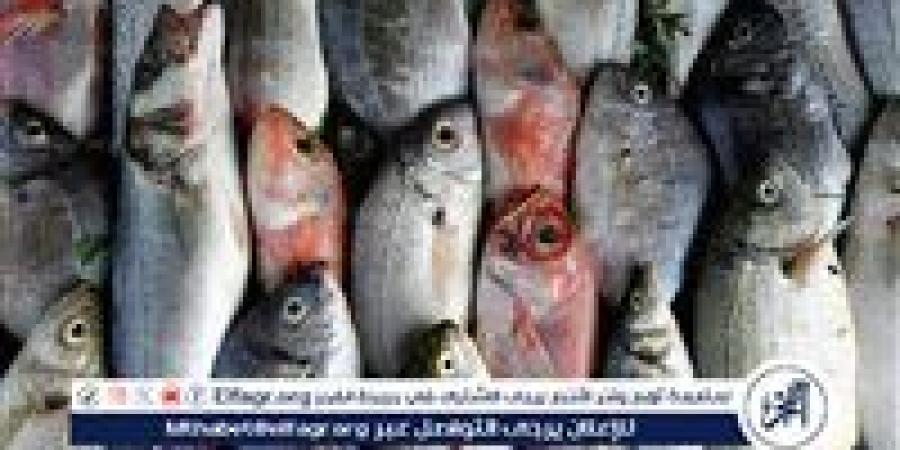 تعرف على أسعار الأسماك اليوم السبت الموافق 14-6-2025 فى سوهاج - هرم مصر
