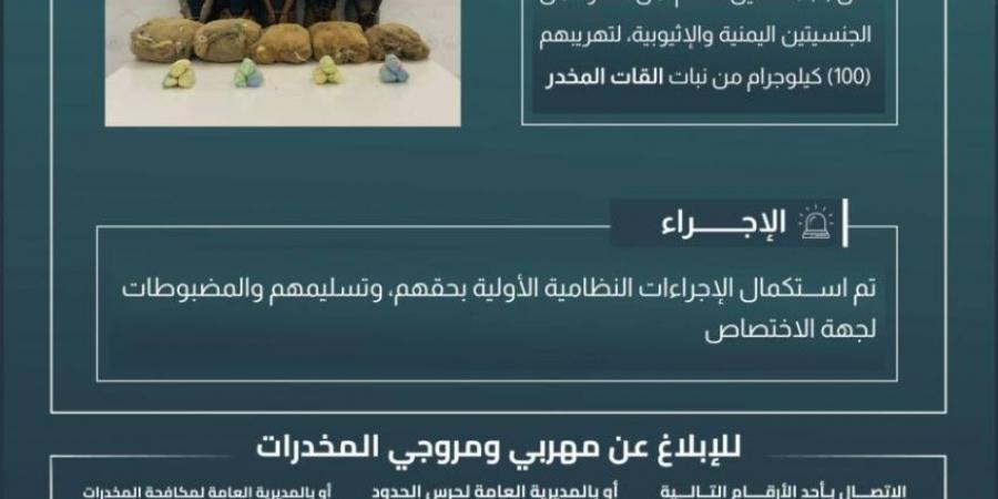 حرس الحدود بعسير يقبض على (5) مخالفين لتهريبهم (100) كيلوجرام من القات المخدر - هرم مصر