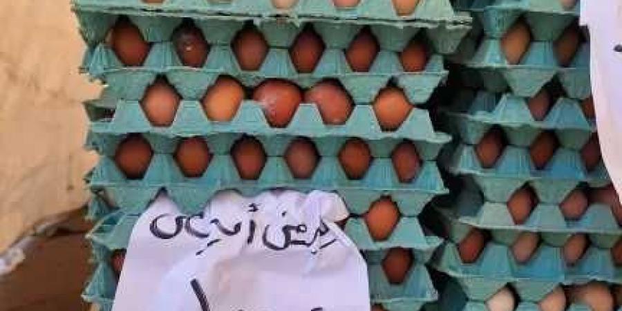 استمرار انطلاق أسواق اليوم الواحد الجمعة والسبت - هرم مصر