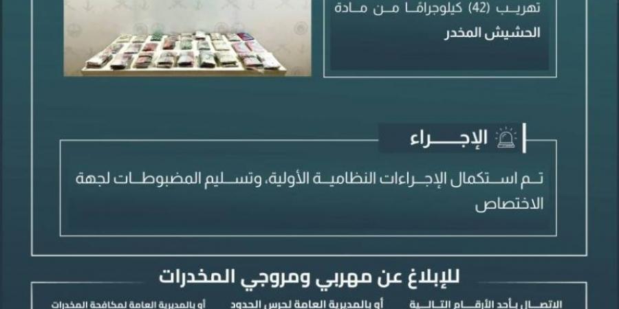 حرس الحدود بجازان يحبط تهريب (42) كيلوجرامًا من الحشيش المخدر - هرم مصر