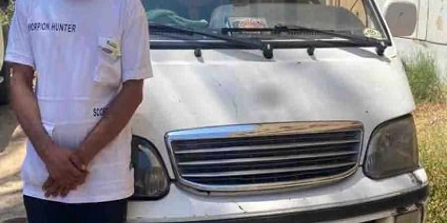 ضبط سائق ميكروباص لاستعراضه بسيارته بالقاهرة - هرم مصر