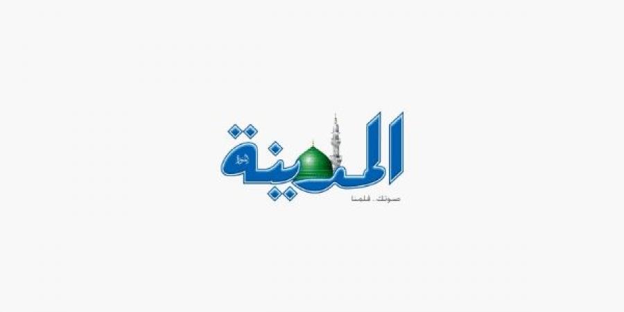 محمد زاهد - هرم مصر