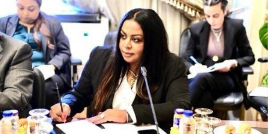 برلمانية: مصر تتحمل المسؤولية لتحقيق الأمن والاستقرار القومى العربى - هرم مصر