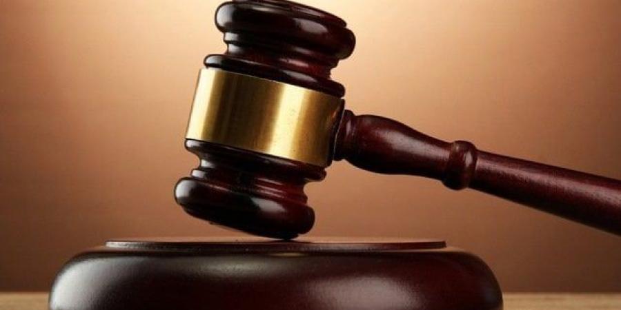 لـ 8 سبتمبر.. تأجيل محاكمة 7 متهمين في قضية «خلية مدينة نصر الثانية» - هرم مصر