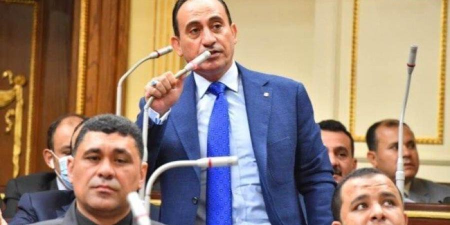 نائب يطالب الحكومة بتنفيذ توصيات البرلمان بشأن الموازنة.. ويدعو للتحول للدعم النقدي المشروط - هرم مصر