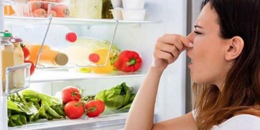 حلول طبيعية للتخلص من روائح الثلاجة المزعجة - هرم مصر