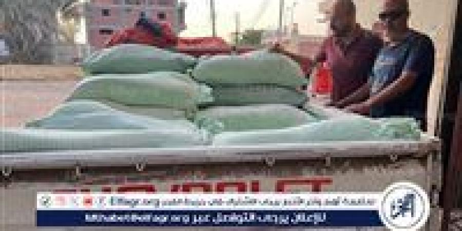 ضبط طنين من الدقيق المدعم قبل بيعها بالسوق السوداء بحملة تموينية ناجحة ببني عبيد في الدقهلية - هرم مصر