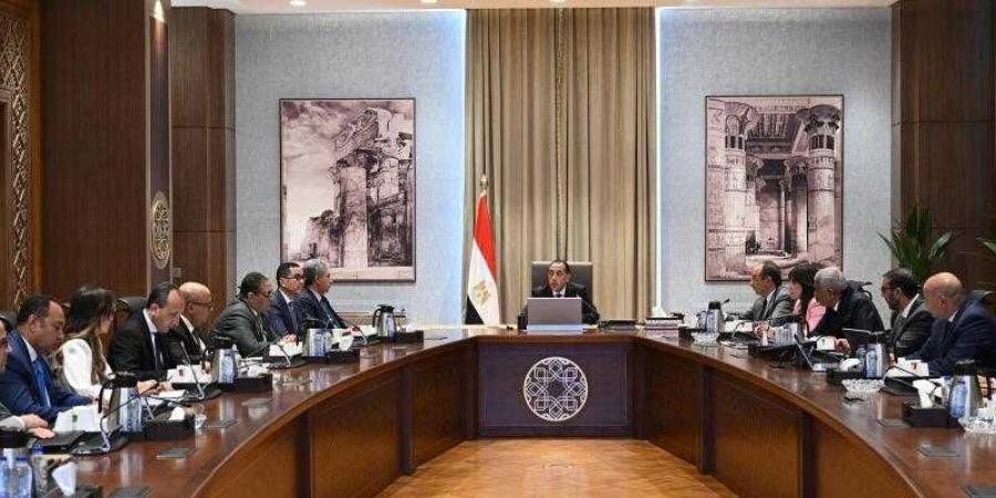 رئيس الوزراء يتابع خطط تطوير 7 فنادق تاريخية سبق طرحها ضمن برنامج الطروحات الحكومية - هرم مصر