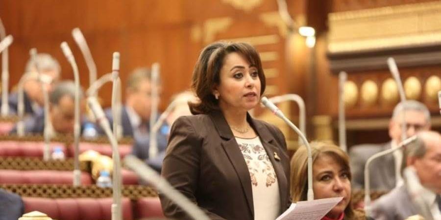 برلمانية: القيادة السياسية تمضي بخطى ثابتة في مواجهة التحديات الأمنية والاقتصادية والإقليمية - هرم مصر