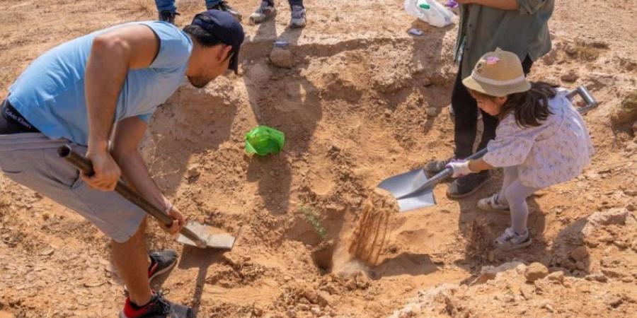 40 مبادرة لزراعة 31 مليون شجرة بالشرقية - هرم مصر