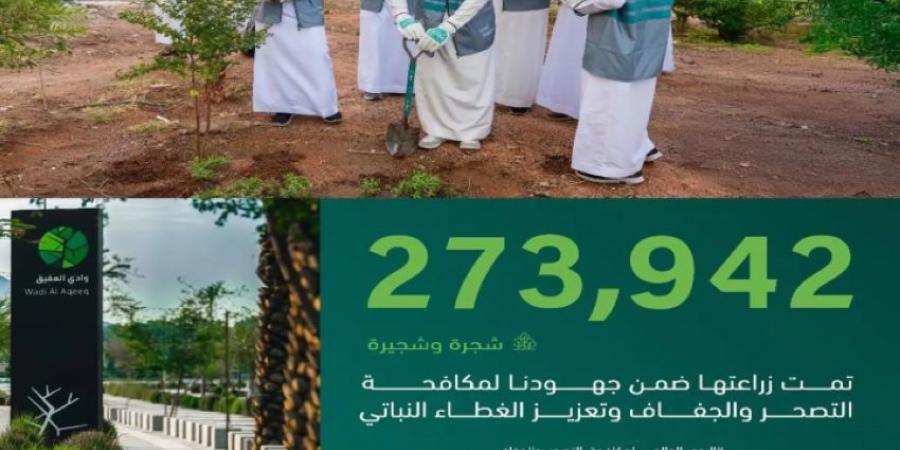 زراعة 273 ألف شجرة في المدينة المنورة ضمن جهود مكافحة التصحّر وتنمية الغطاء النباتي - هرم مصر