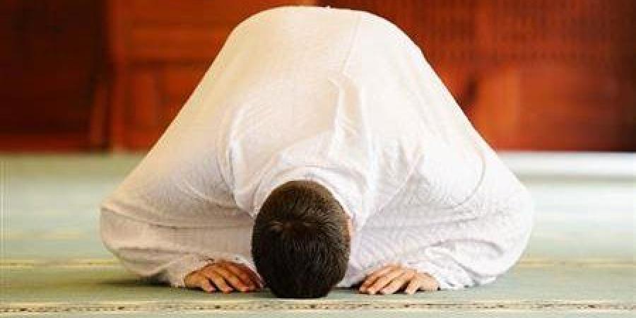 هل نسيان تسبيحة الركوع يستوجب سجود السهو؟.. الإفتاء تجيب - هرم مصر
