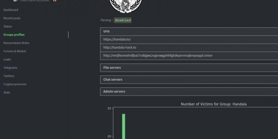 هجمات سيبرانية تشنها مجموعات قرصنة على عدة مواقع إسرائيلية - هرم مصر