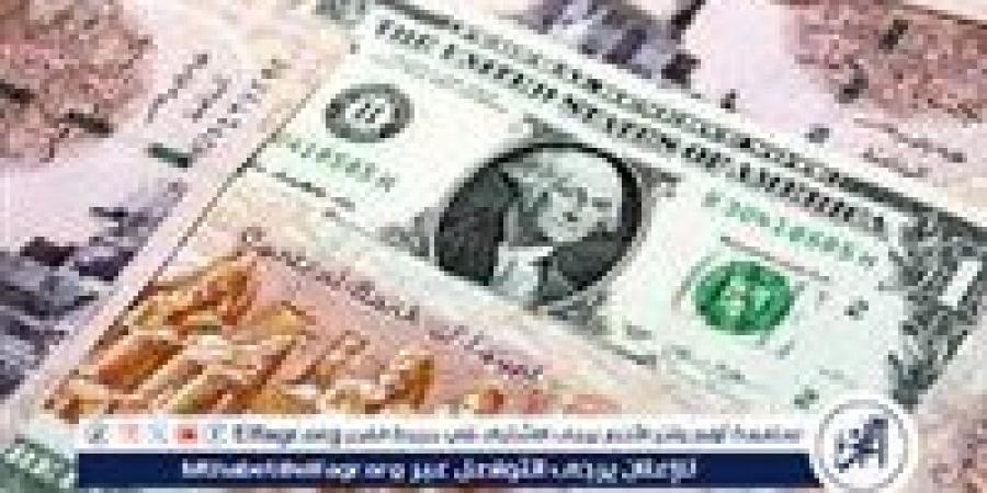 سعر الدولار اليوم مقابل الجنيه المصري بالبنوك بعد آخر تحديث رسمي - هرم مصر