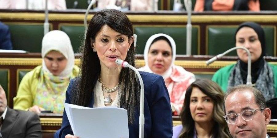 وزيرة التخطيط: «لجنة الأزمات» تسهم في الاستعداد لأية مستجدات بمختلف القطاعات - هرم مصر